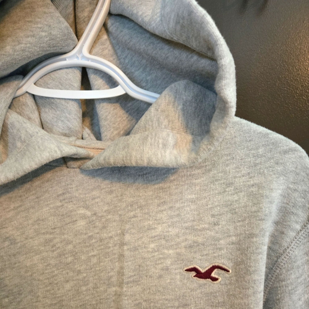 Vintage Hollister Gray Hoodie with Logo